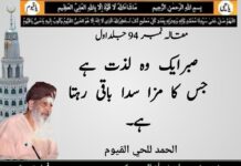 Maqalat-e- Hikmat Urdu Quotes 61 To 100