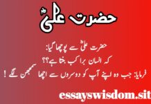 Hazrat Ali Quotes Success & Motivational Quotes Hazrat Ali Success Quotes Islamic motivation